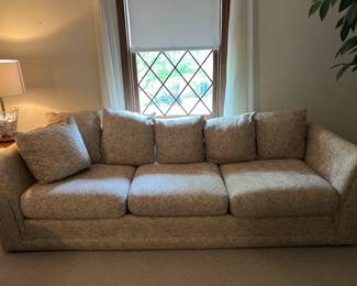 Debasio Furniture Sofa~$150.00