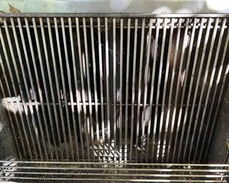 Inside of grill. Looks good!