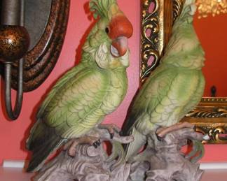 Andre by SADEK  Parrots