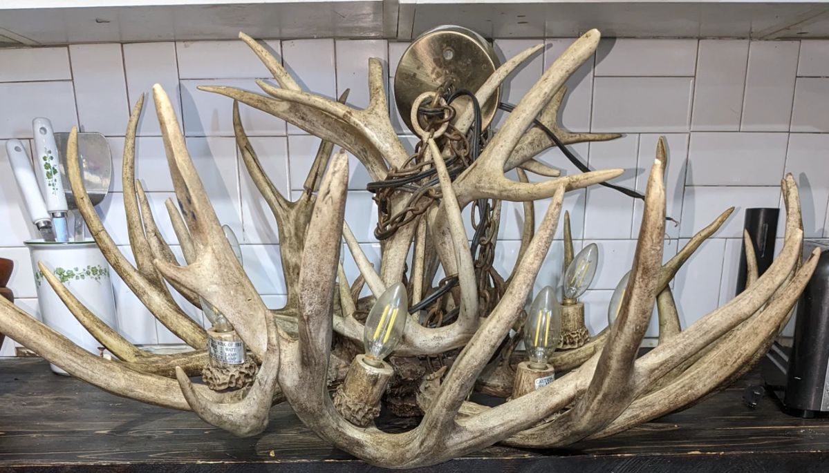 This is a 3 tier deer Chandelier and is going to be out on estate on 9/23/23 for sale .This is going to be a highest bidder sale starting bid is $1000.00 .Bidders will be recorded with name and number for contact for winning bidder.Picked up of item is required by end of 9/23/23 6 pm .If winning bidder is uncontactable the next highest bidder will be given call for purchase and so on.Bidding begins at 8 am and ends at 3 pm winning bid will be called no later than 4 pm .Buyers understand this item will be sold if to next bidder if you don't answer.Happy bidding.Bidding extended until Day. 4 sale end of auction bidding will be 10 am .Currently 3 bidders one drop out ,one no answer and one bidder. Can't make it until Day 4 to pay .This why bids will continue keeping it fair any bids before 10 am will be accepted .No bids allowed after 0 am no exemptions
