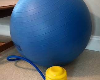 Danskin Exercise Ball 