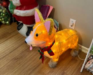 Cute corgis light up. 