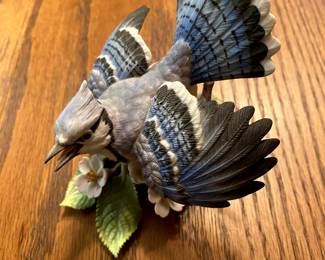 Lenox bluejay