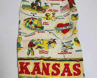 Travel Apron
