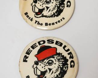 Reedsburg Pinbacks