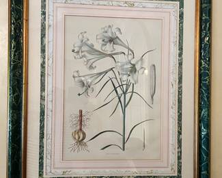 30. Pair of Lily Botanical Prints w/ Painted Marbleized Frames (30" x 37")