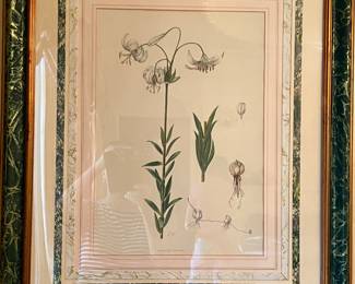 30. Pair of Lily Botanical Prints w/ Painted Marbleized Frames (30" x 37")