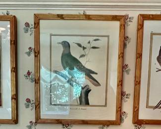 151. Framed Aviary Print (11" x 13")
152. Framed Aviary Print (11" x 13")
153. Framed Aviary Print (11" x 13")