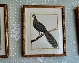154. Framed Aviary Print (11" x 13")
155. Framed Aviary Print (11" x 13")
156. Framed Aviary Print (11" x 13")