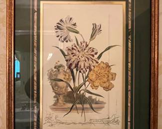 200. Framed Botanical Print (16" x 22")
