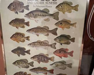 217. Framed Bass Poster by Maynard Reece (18" x 25")