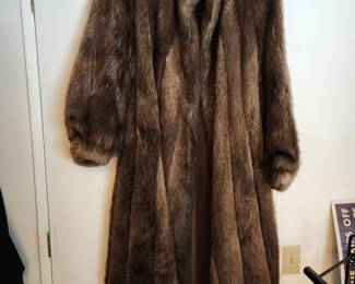 Full length Beaver