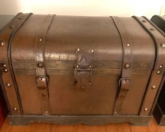 Decorative trunks