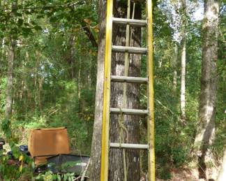 25 Ft. Extension Ladder