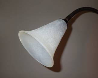 DOUBLE GOOSE NECK LAMP
