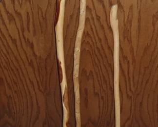 WALKING STICKS