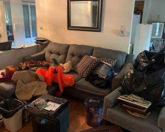 Free Couch, Bring Help to Remove it