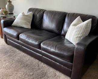 Kalana leather Sleeper sofa bought in 2022