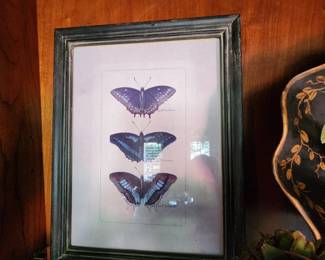 Framed Butterfly Art