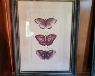 Framed Butterfly Art