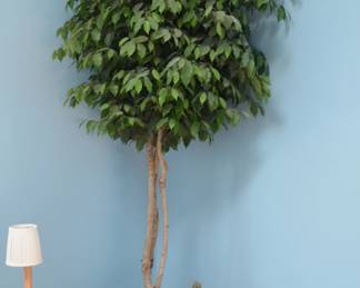 Fiche Tree Artificial