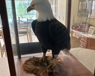Eaglesusa.com Life-Size Reproduction