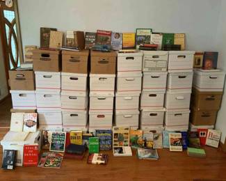 Huge Mystery Book Lot