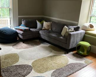 WEST ELM RUG AND SECTIONAL