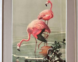 Roger Tory Peterson Vintage Poster, Flamingos, Framed
Lot #: 100