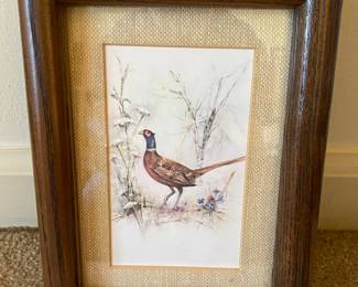 Vintage Pheasant Picture