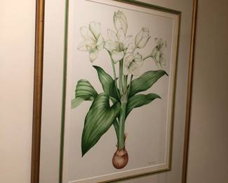 Botanical Picture
