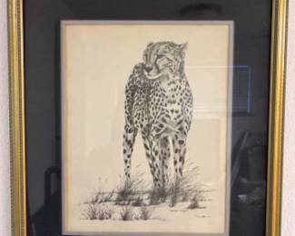 Framed Print "Cheetah" by C. Marsden Huggins