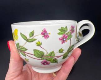 ORIGINAL 1972 Portmeirion Botanic Garden Teapot w/ 2 Cups