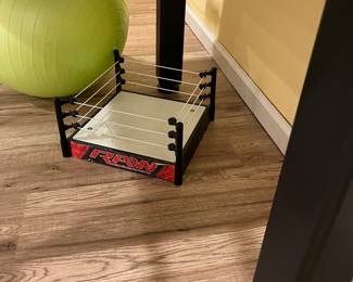 WWE Raw wrestling ring