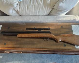 Crossman 1400 A.22 CAL