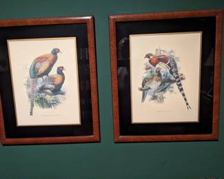 ANTIQUE BIRD PRINTS