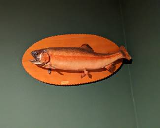 TAXIDERMY TROUT MOUNT