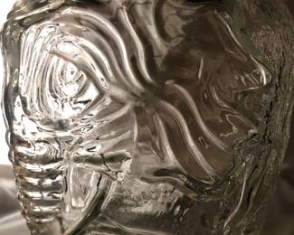 Can you see the pachyderm?