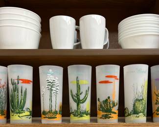 Vintage Cactus Glassware and Placemats, Corning, Corelle