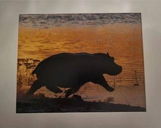 Lot 62   14 Bid(s)
Hurried Hippo photo + Gift card