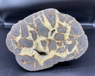 Septarian Cut Half