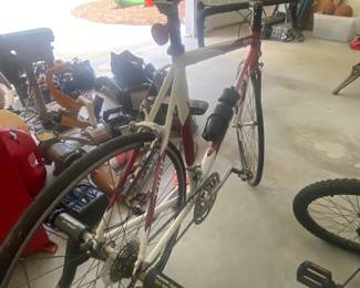 Trek 1000 Alpha Bike