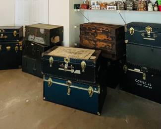 Trunks, trunks, and more trunks!