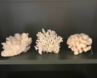 Coral
