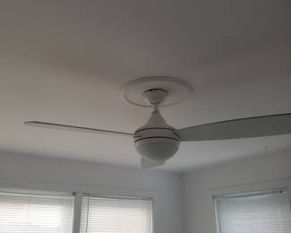 Contemporary ceiling fan 