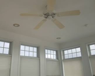Ceiling fan