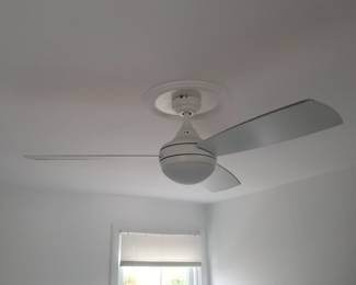Contemporary ceiling fan 