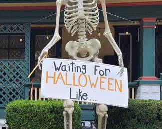 Hard to find 12’ skeleton!