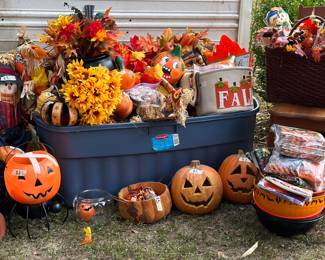 Selection of Halloween/Harvest Decor