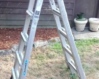 Werner ladder